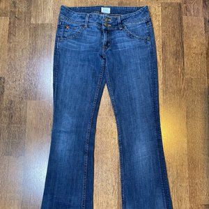 Vintage Y2K Low Rise Hudson Jeans